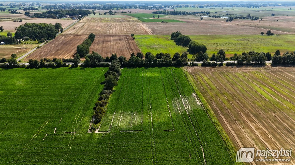 Będzin- Działka rolna na sprzedaż  (10)