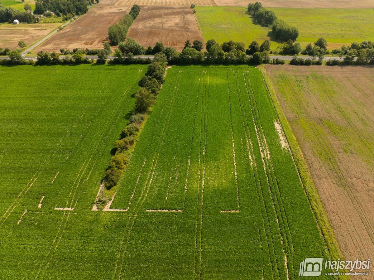 Będzin- Działka rolna na sprzedaż  (13)