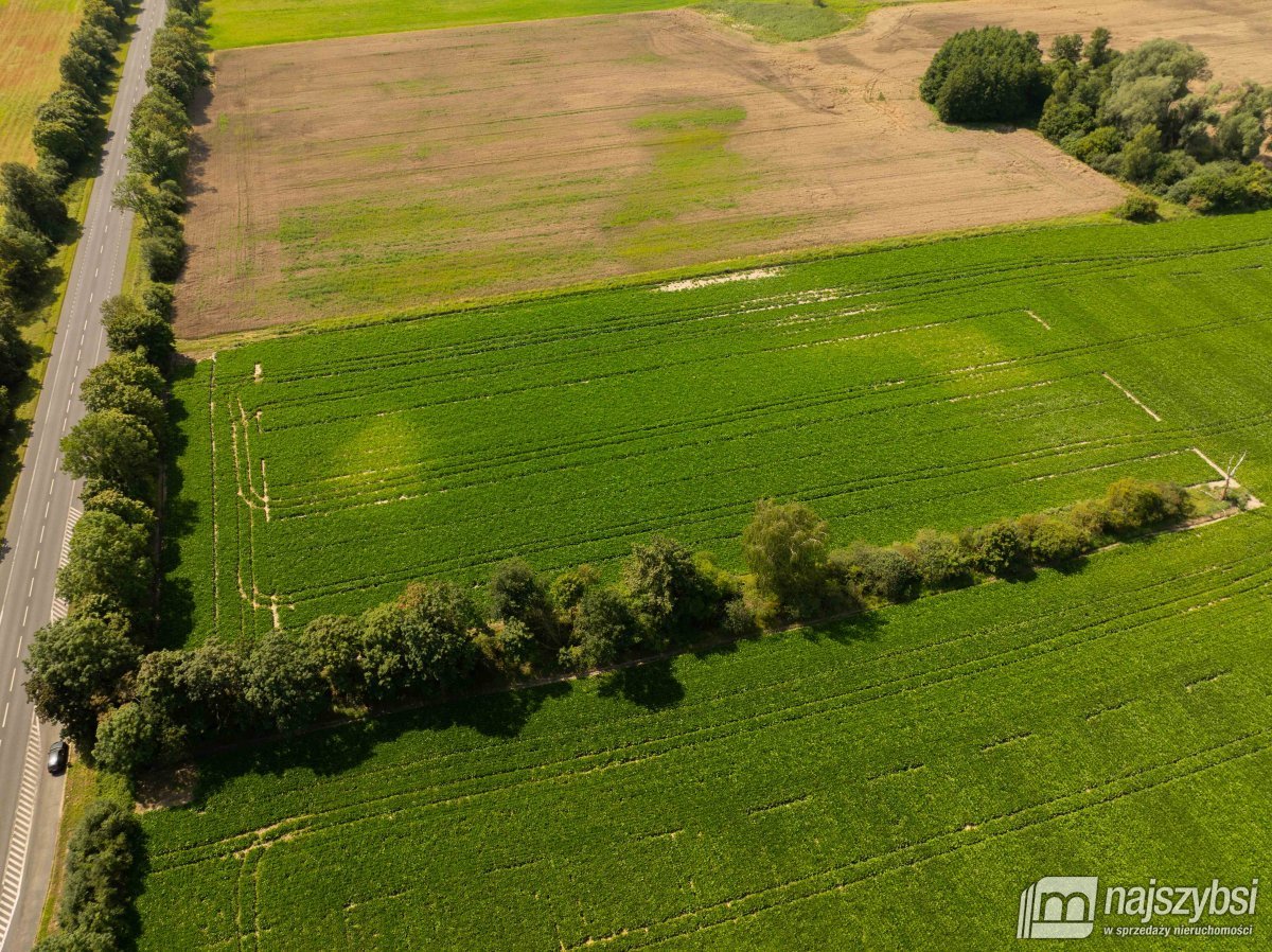 Będzin- Działka rolna na sprzedaż  (14)