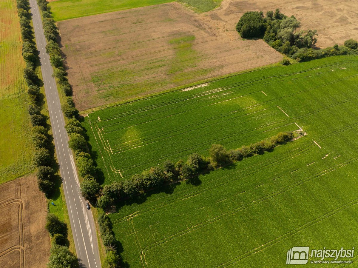 Będzin- Działka rolna na sprzedaż  (16)