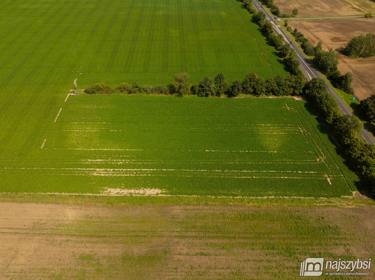 Będzin- Działka rolna na sprzedaż  (17)