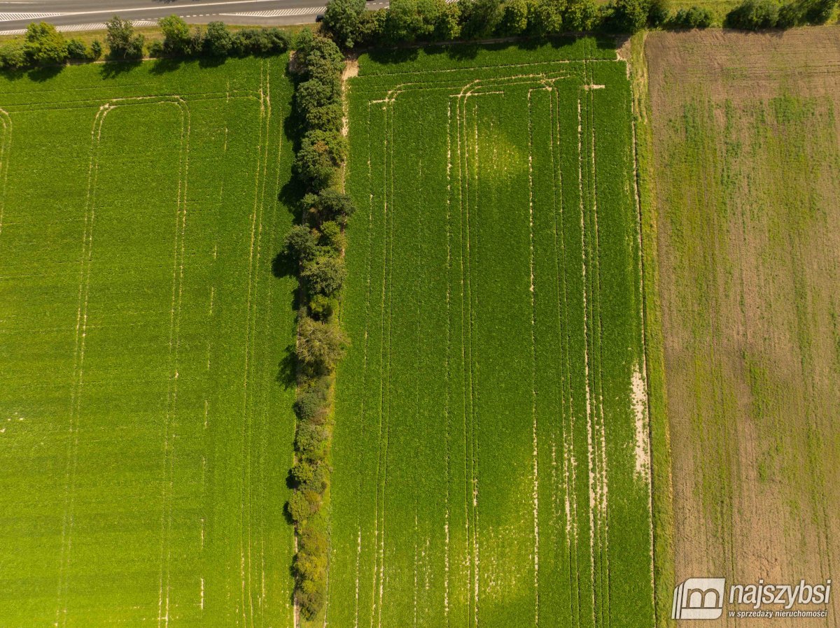 Będzin- Działka rolna na sprzedaż  (3)