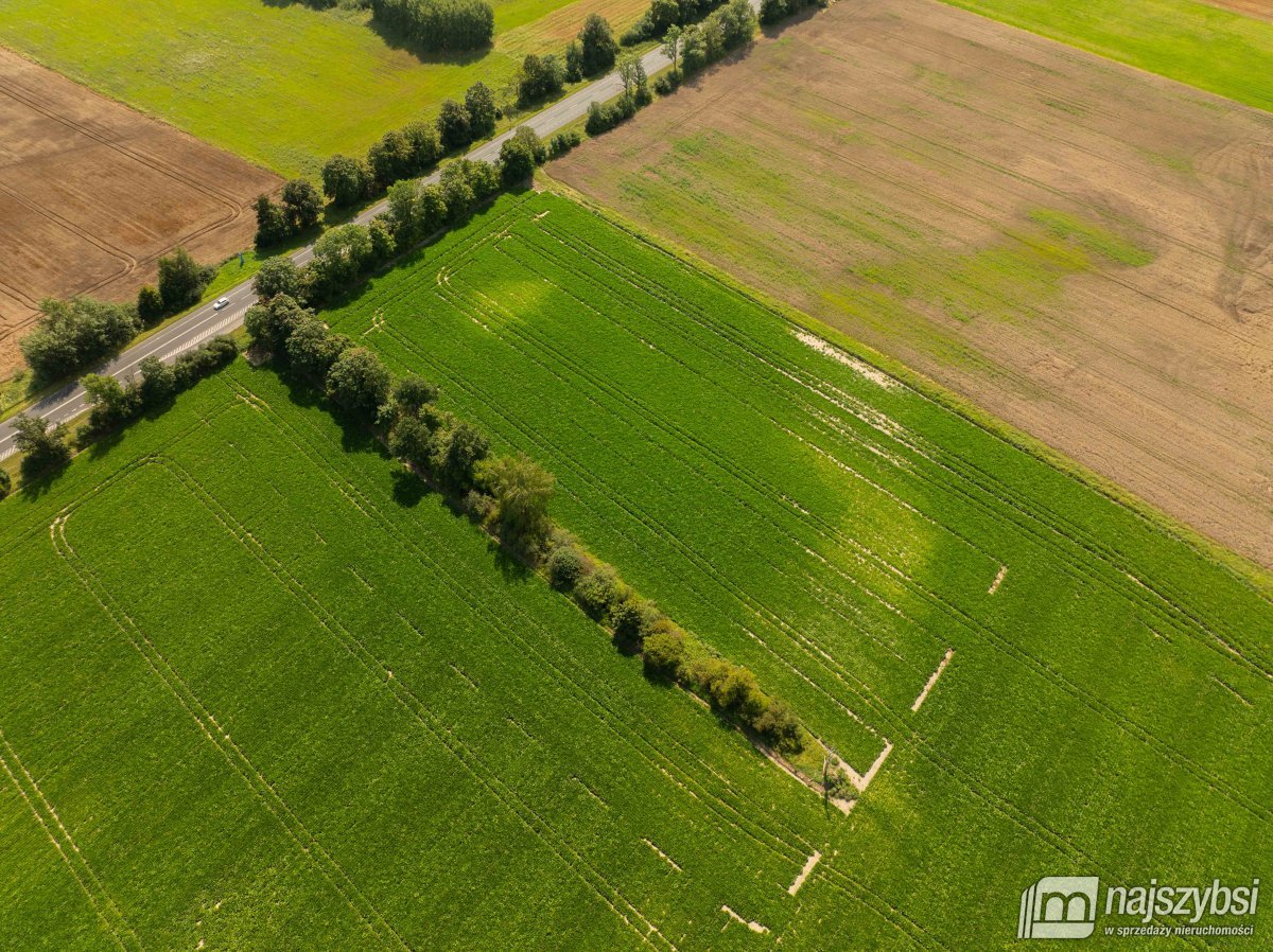 Będzin- Działka rolna na sprzedaż  (4)