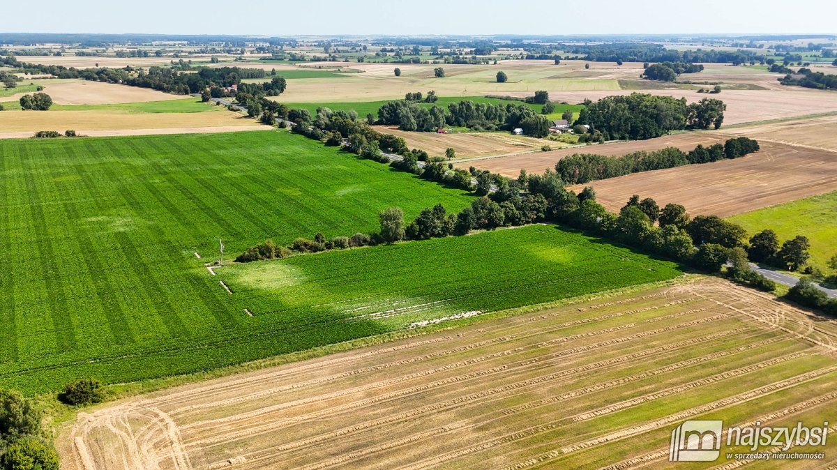 Będzin- Działka rolna na sprzedaż  (5)