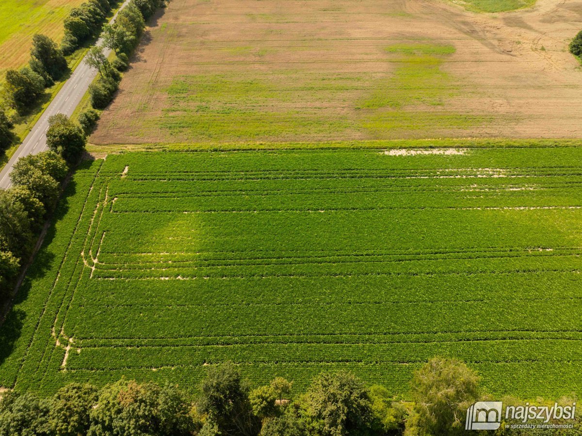 Będzin- Działka rolna na sprzedaż  (6)