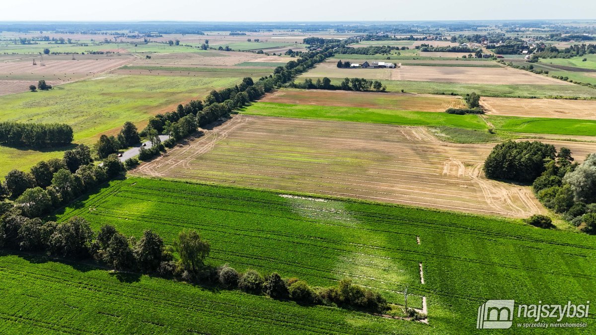 Będzin- Działka rolna na sprzedaż  (7)