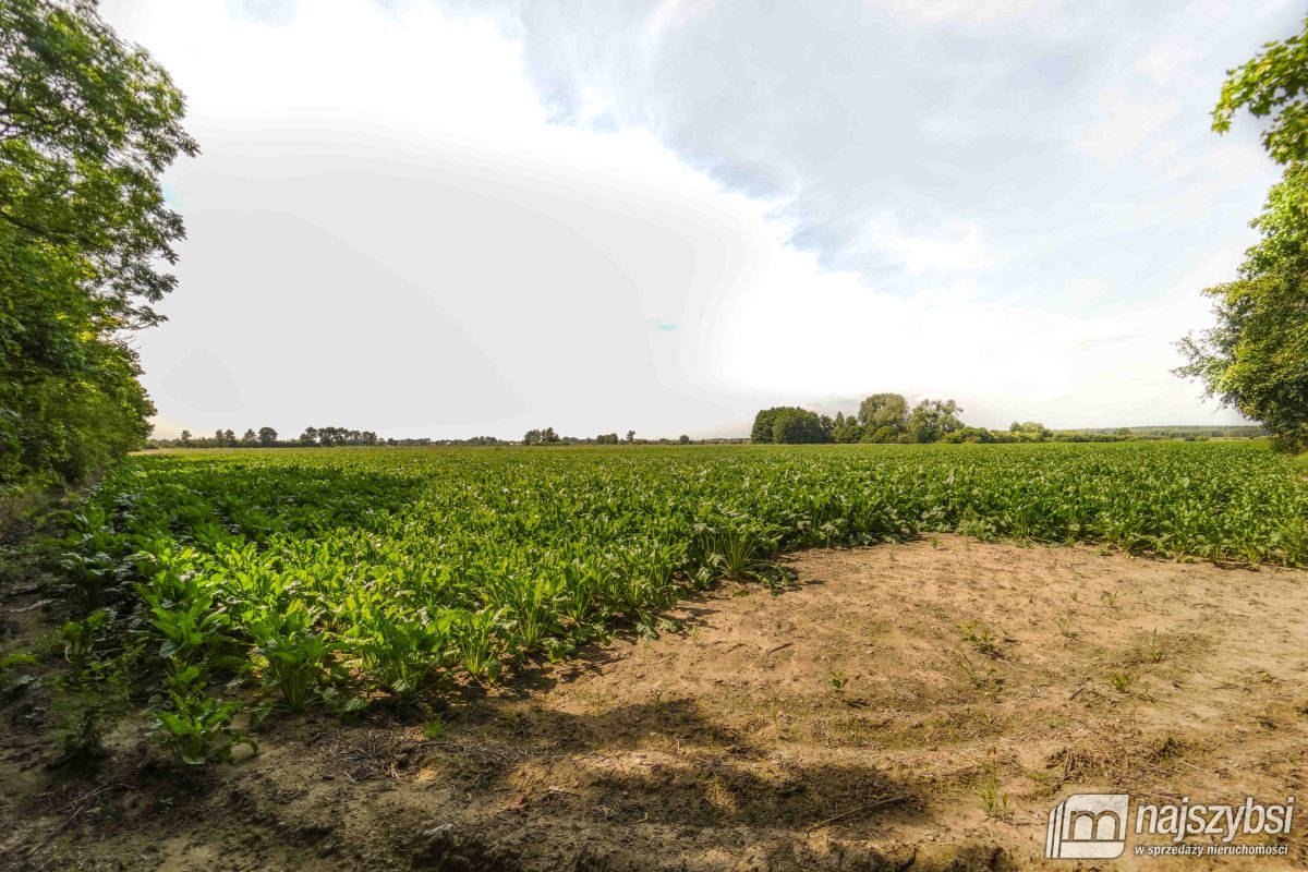 Będzin- Działka rolna na sprzedaż  (8)