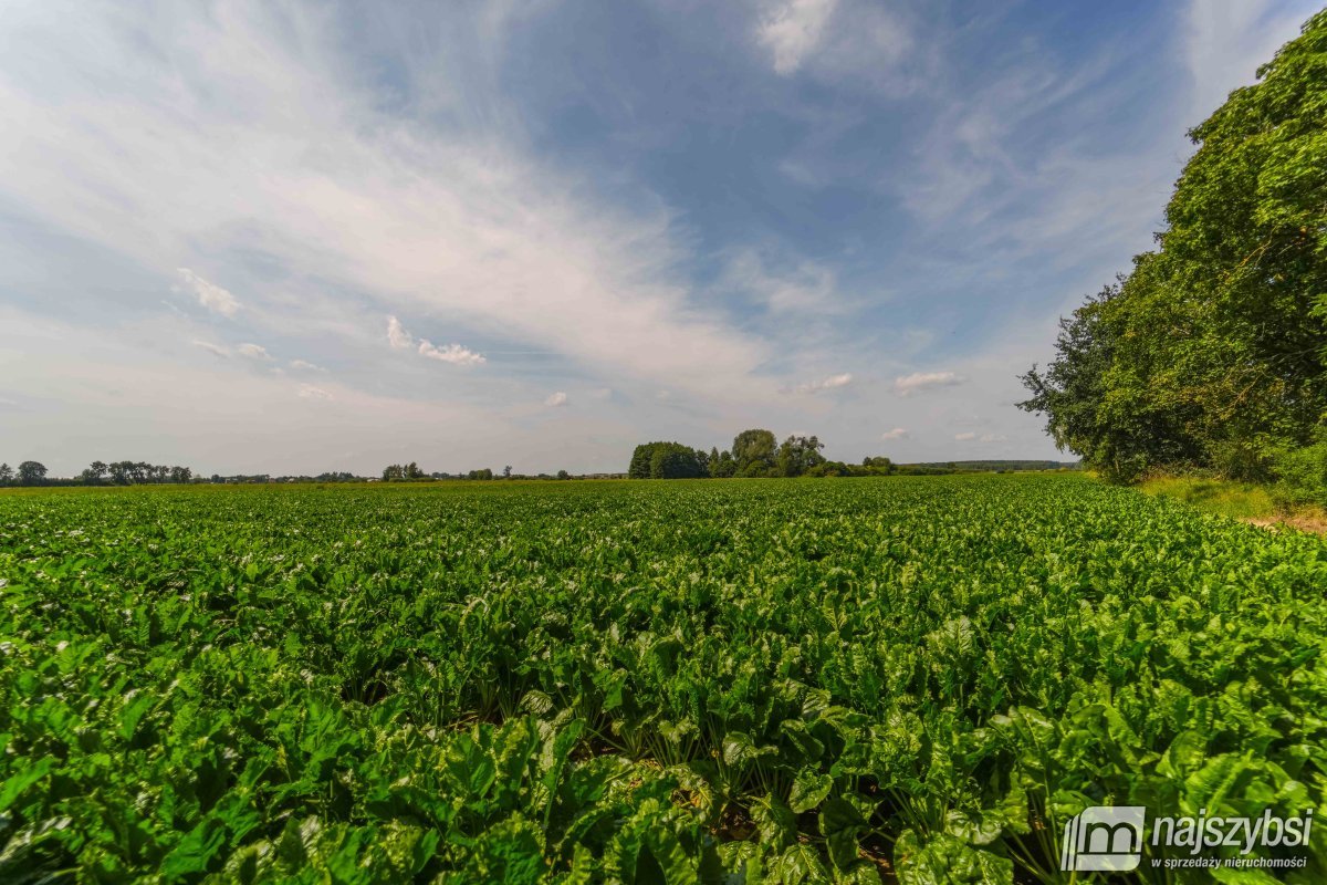 Będzin- Działka rolna na sprzedaż  (9)