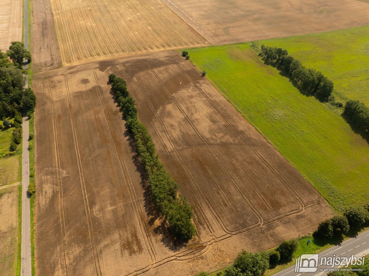 Będzin- Działka rolna na sprzedaż  (10)