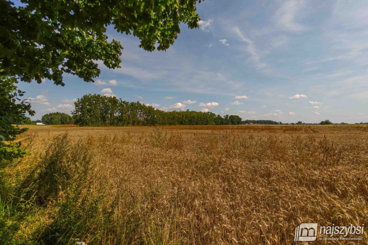 Będzin- Działka rolna na sprzedaż  (2)