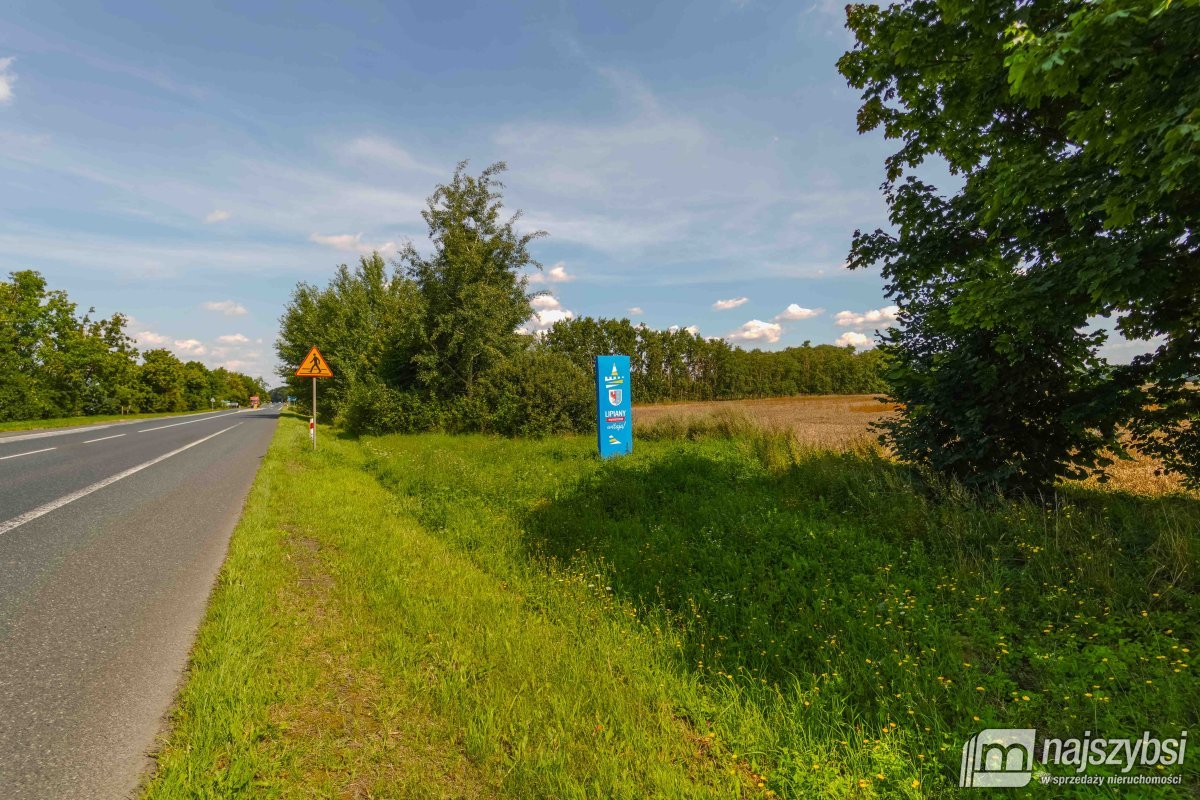 Będzin- Działka rolna na sprzedaż  (4)