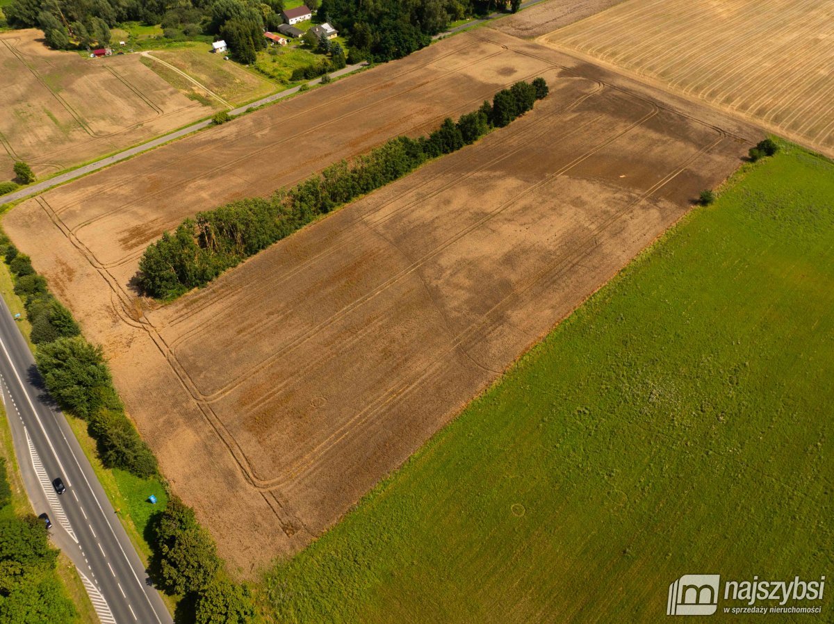 Będzin- Działka rolna na sprzedaż  (5)