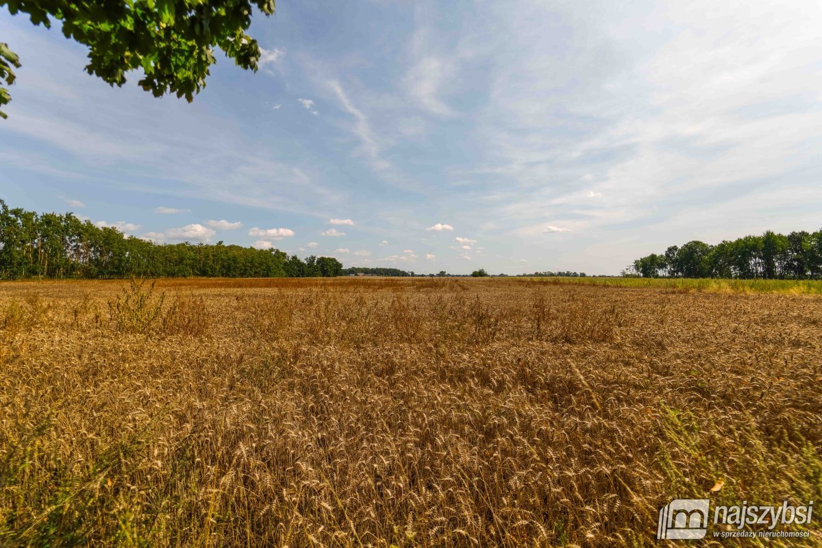 Będzin- Działka rolna na sprzedaż  (6)
