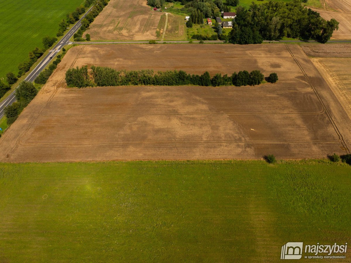 Będzin- Działka rolna na sprzedaż  (7)