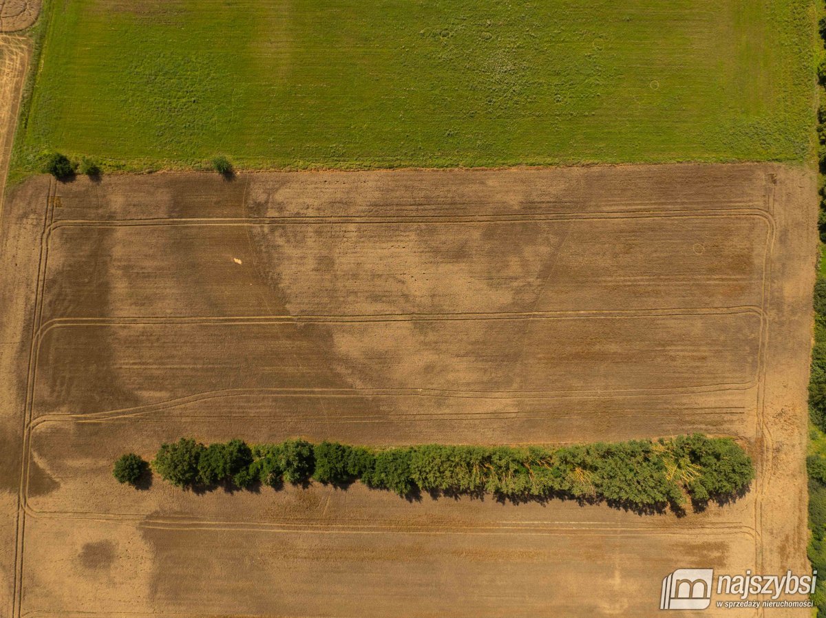 Będzin- Działka rolna na sprzedaż  (8)