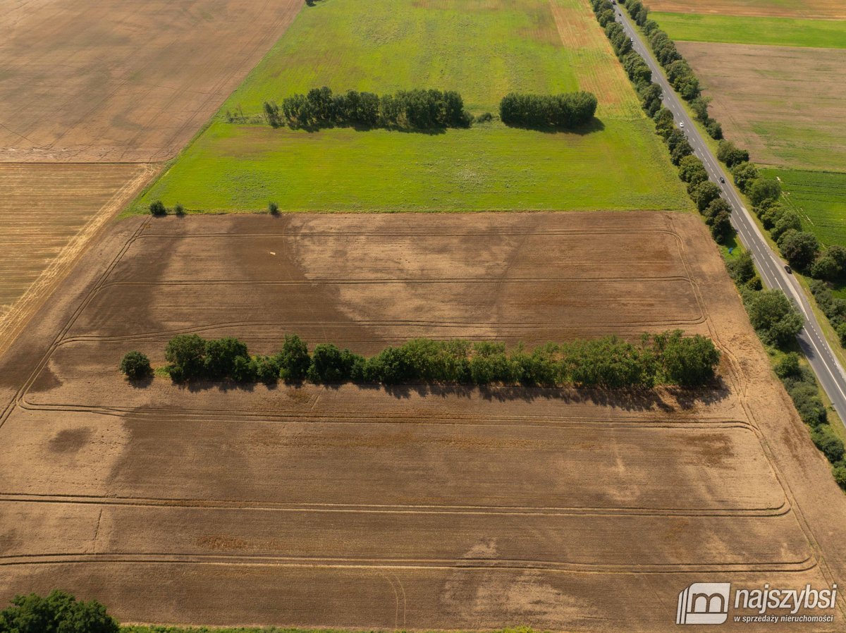 Będzin- Działka rolna na sprzedaż  (9)