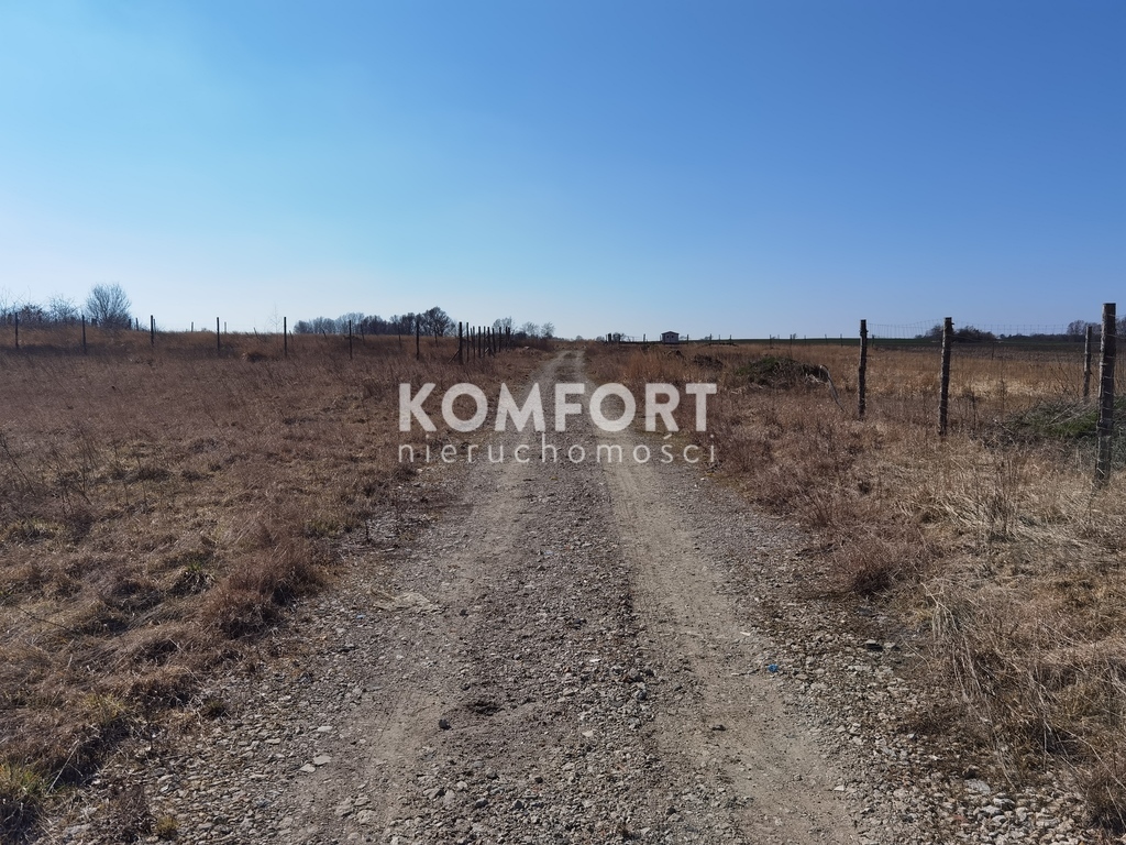 Ostatnia działka na ulicy! Piękny widok! (2)