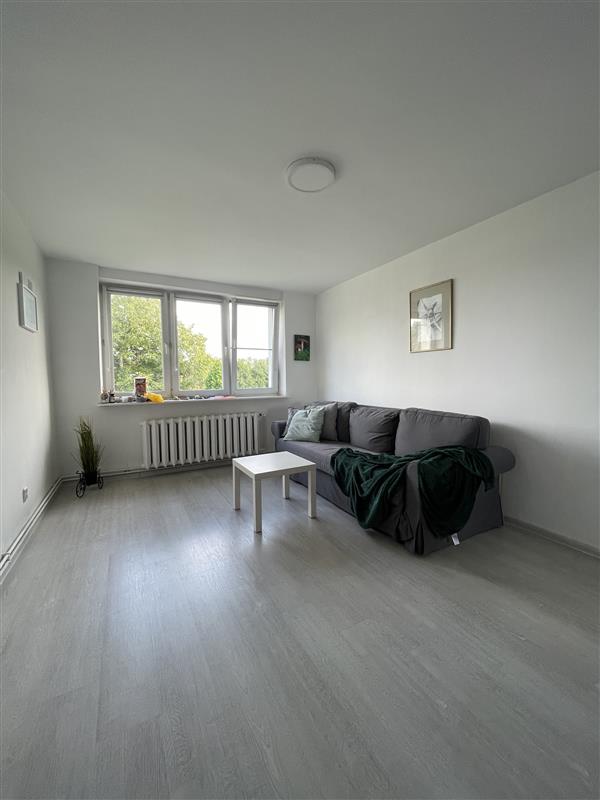 Wyjątkowe, bezczynszowe mieszkanie 500m od Jeziora (4)