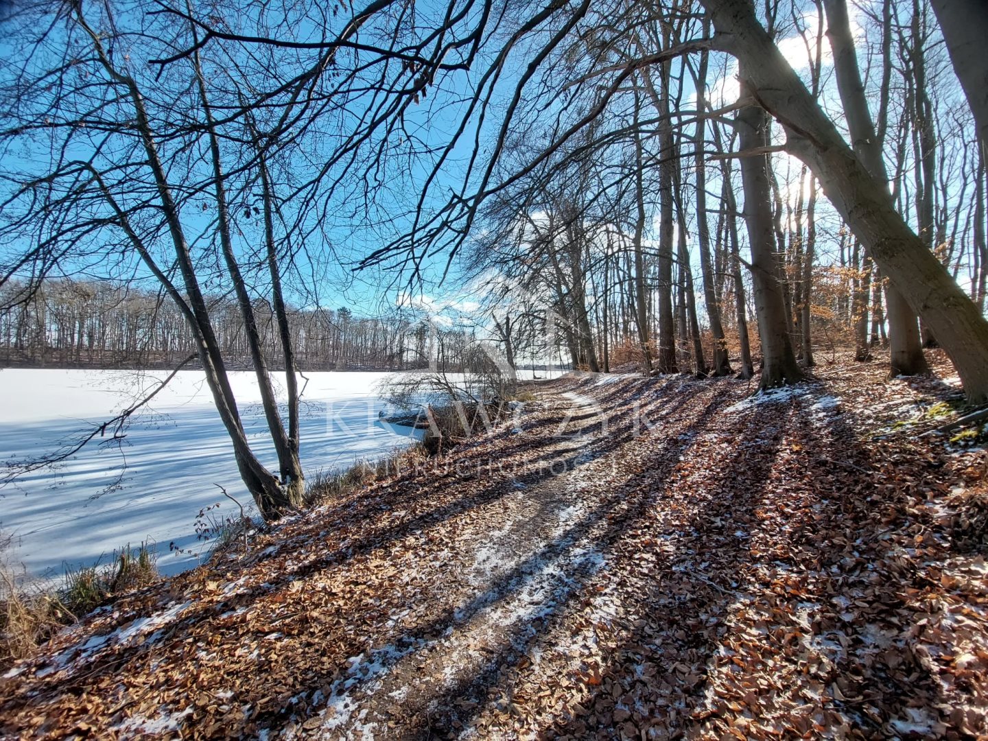 NA SPRZEDAŻ WYJĄTKOWA DZIAŁKA W LIPIANACH (5)