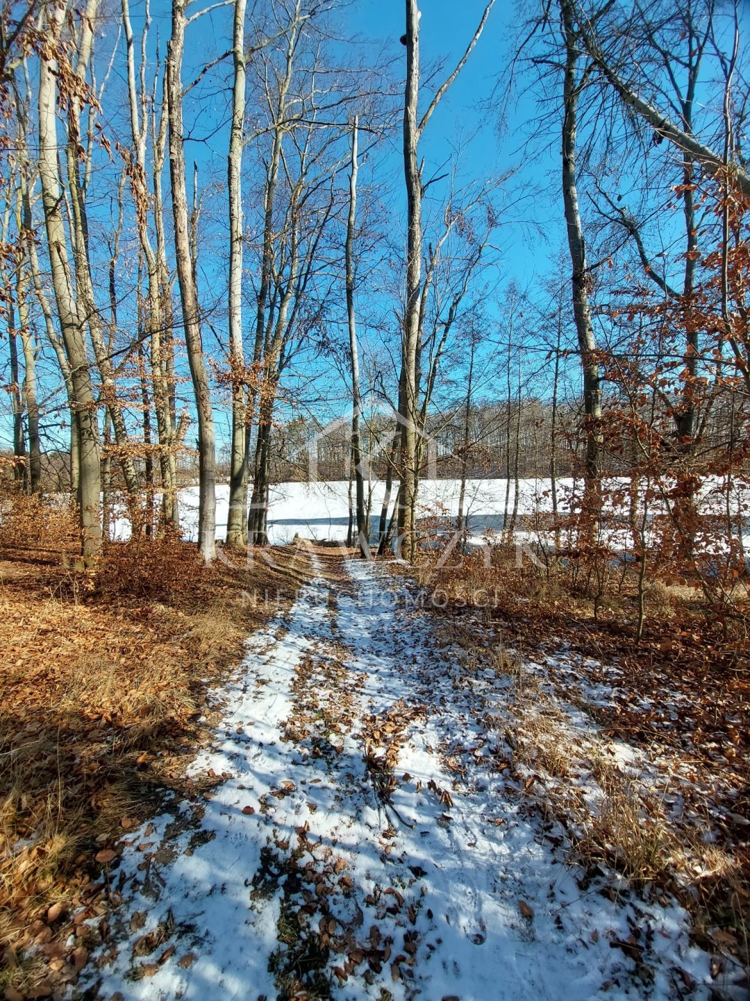 NA SPRZEDAŻ WYJĄTKOWA DZIAŁKA W LIPIANACH (6)