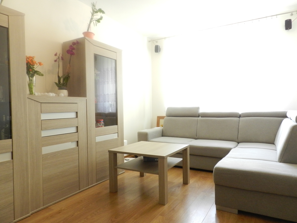 2 pokoje, parter, Niebuszewo! (3)