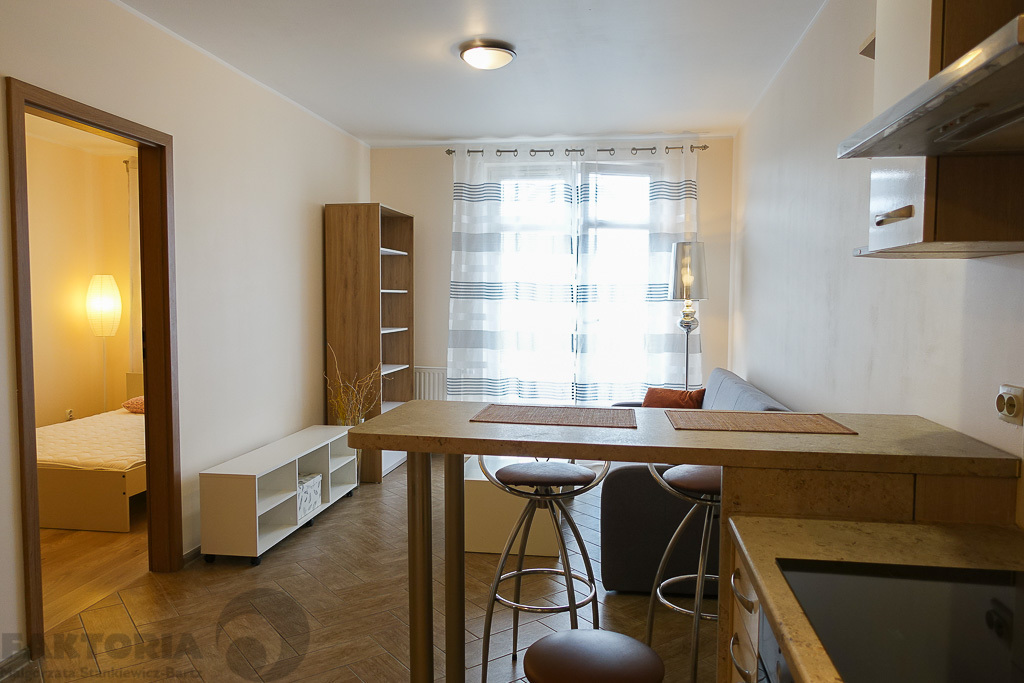 Śródmieście 2 pokoje 38,9m2, umebl. 2500+534+garaż (24)