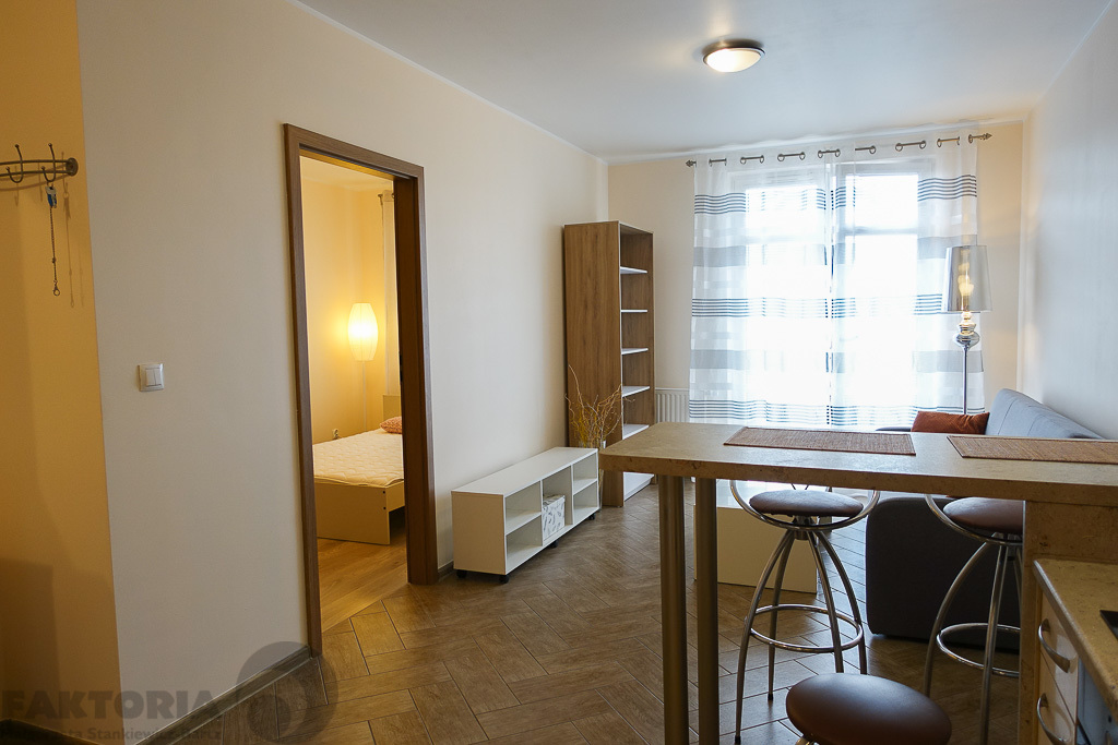 Śródmieście 2 pokoje 38,9m2, umebl. 2500+534+garaż (25)