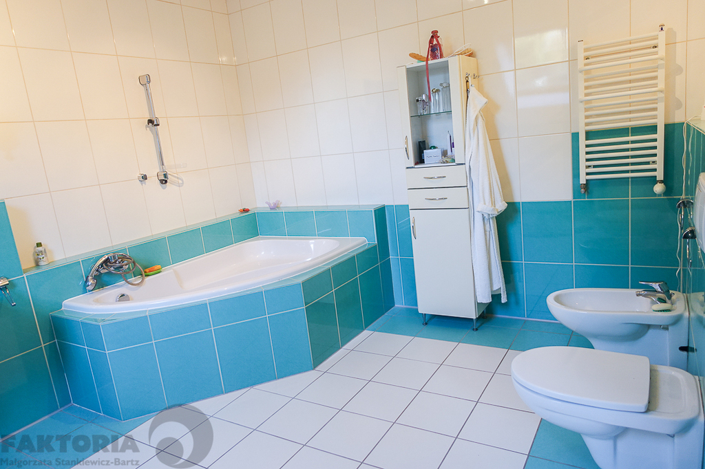 Gumieńce dom wolno stojący z 2000 r. 1,75 mln (19)