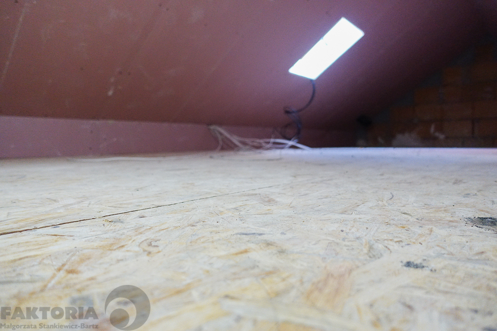 Dobra, nowy dom, 5 pokoi, wys. standard (24)