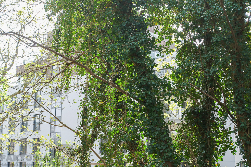 Apartament nad morzem 57,7m2, 3 pok., balkon 16m2 (22)