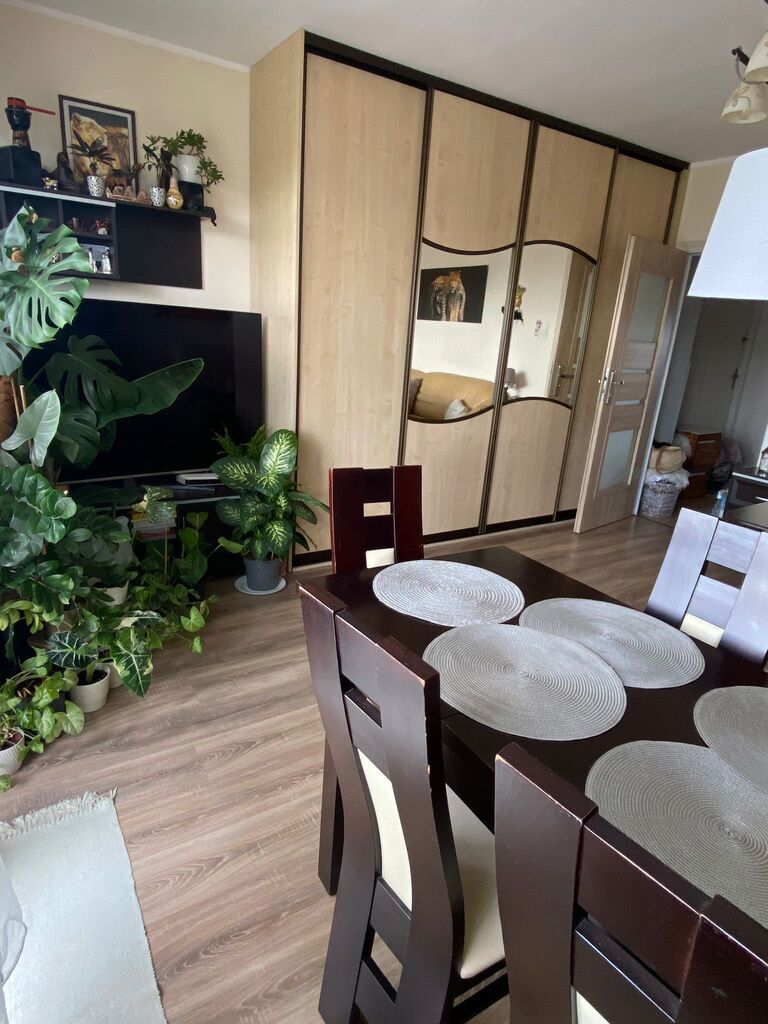 Ciche mieszkanie wśród zieleni – 2 pokoje, Załom (3)