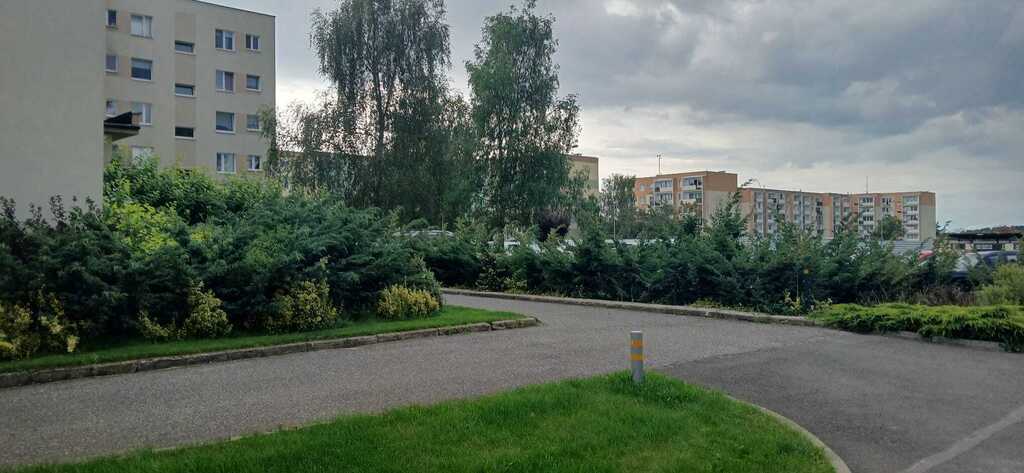 Ciche mieszkanie wśród zieleni – 2 pokoje, Załom (16)