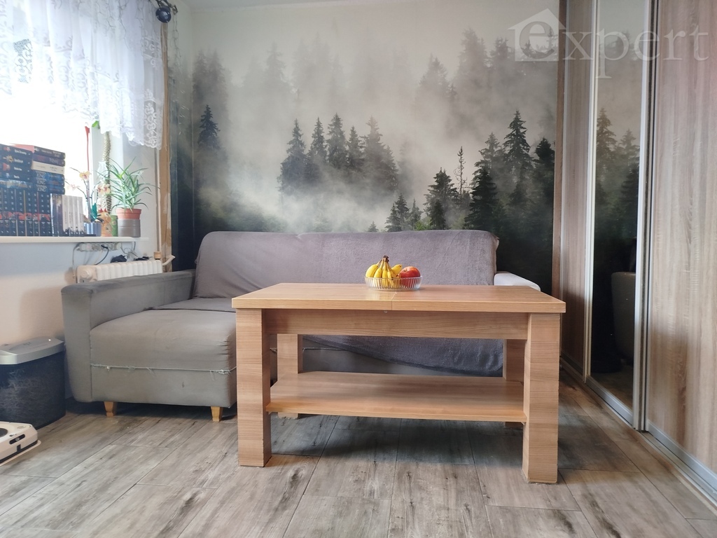 2 pokoje z dużym balkonem, blok z windą oś. zachód (1)