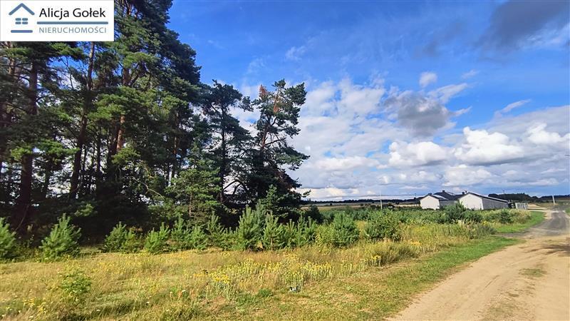 Biały Bór - Kaliska - działka budowlana o pow. 1.2 (3)