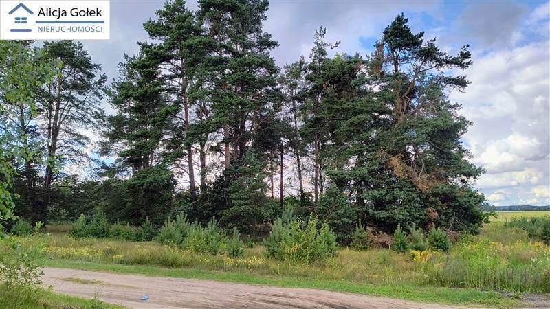 Biały Bór - Kaliska - działka budowlana o pow. 1.2 (6)