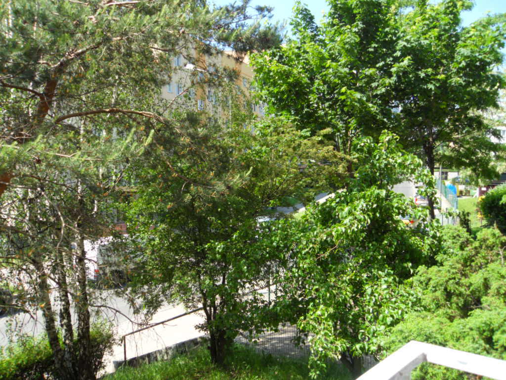 Turkusowa-4-pok.balkon,83mkw,parter680tys.do neg (24)