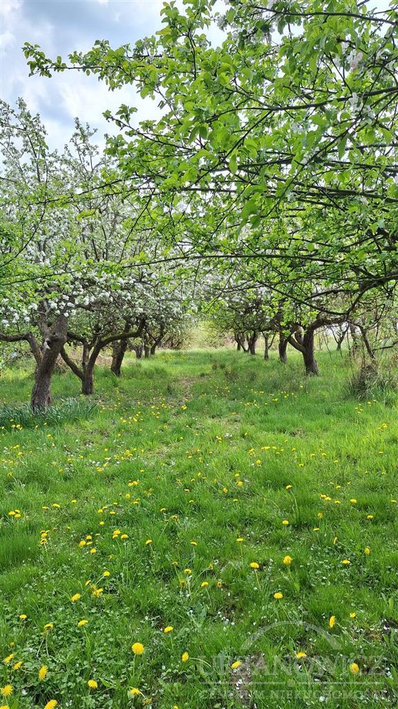 Gorzebądz, działka budowlana, 13 km od morza (15)