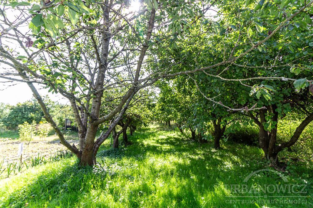 Gorzebądz, działka budowlana, 13 km od morza (4)