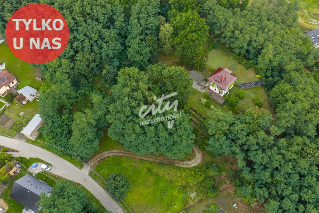 Wyjątkowy dom na zadbanej działce 9000 m² (1)