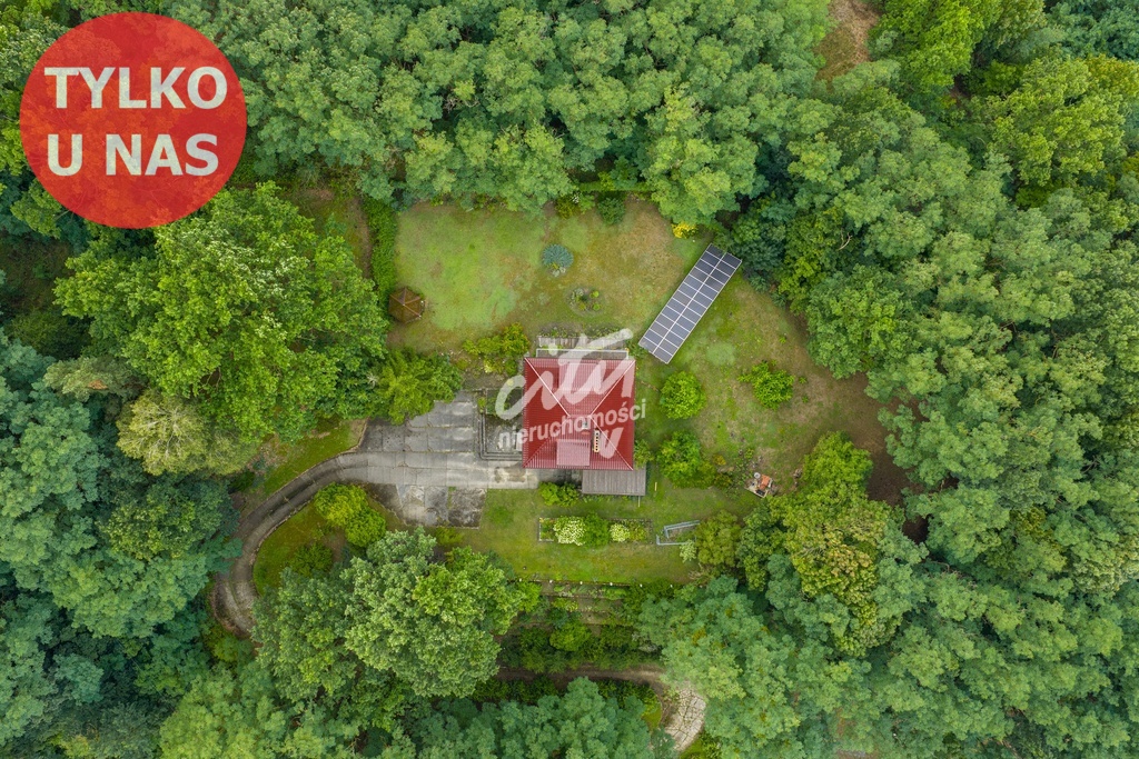 Wyjątkowy dom na zadbanej działce 9000 m² (2)