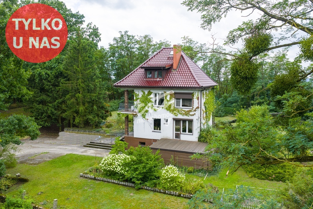 Wyjątkowy dom na zadbanej działce 9000 m² (3)