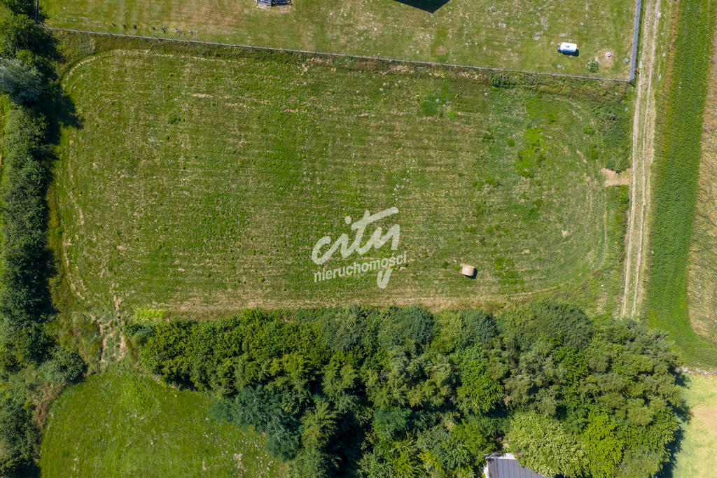 Działka w urokliwym i spokojnym miejscu (6)