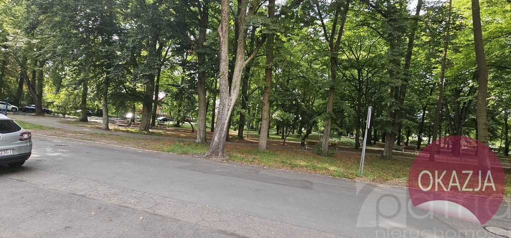 Pogodno- dom wolnostojący obok parku (8)