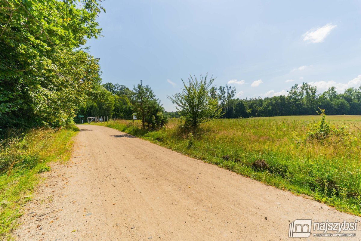 Stara Dobrzyca - duża działka nad jeziorem (10)