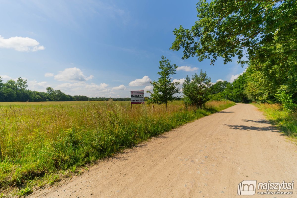 Stara Dobrzyca - duża działka nad jeziorem (11)