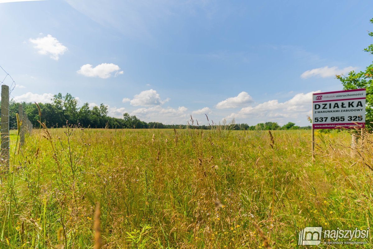 Stara Dobrzyca - duża działka nad jeziorem (12)