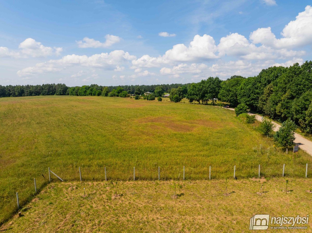 Stara Dobrzyca - duża działka nad jeziorem (3)
