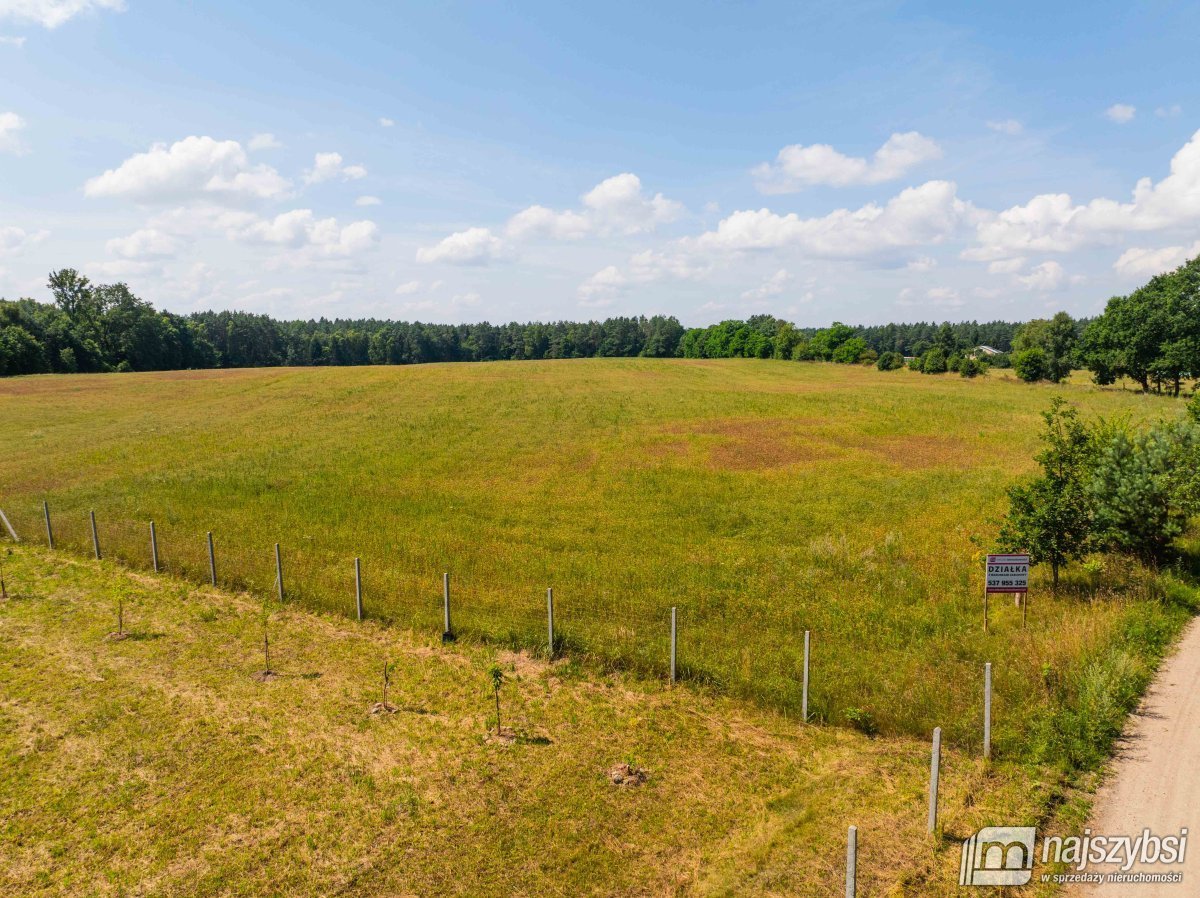 Stara Dobrzyca - duża działka nad jeziorem (5)