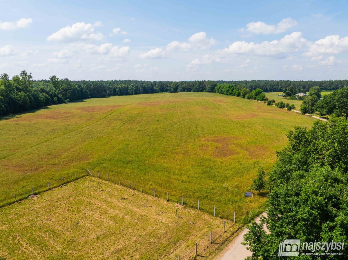 Stara Dobrzyca - duża działka nad jeziorem (6)