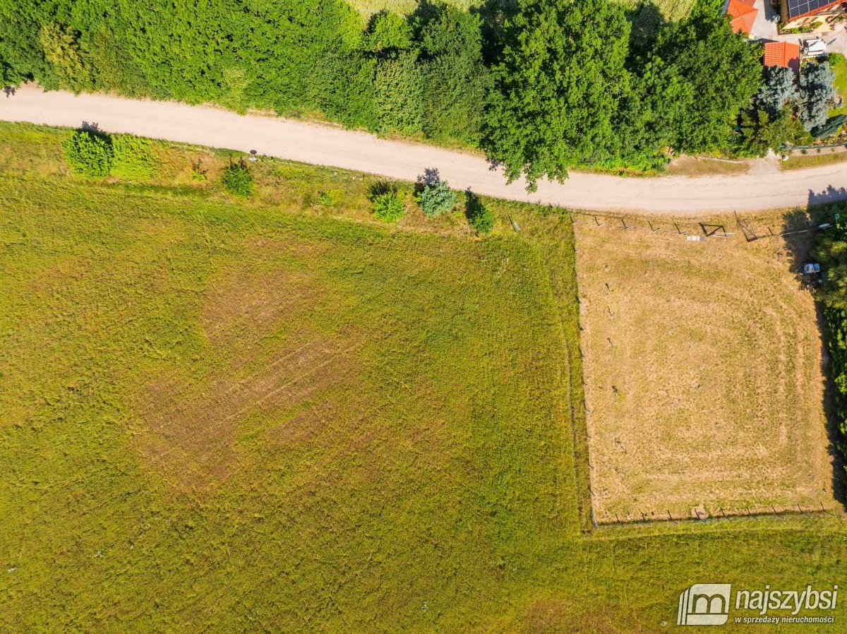 Stara Dobrzyca - duża działka nad jeziorem (7)